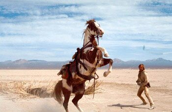 Frank Hopkins (Viggo Mortensen) tries to tame the horse Hidalgo.