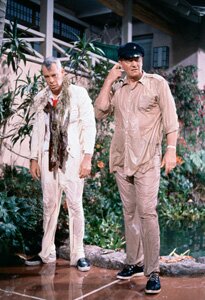 Lee Marvin and John Wayne (from Donovan's Reef)